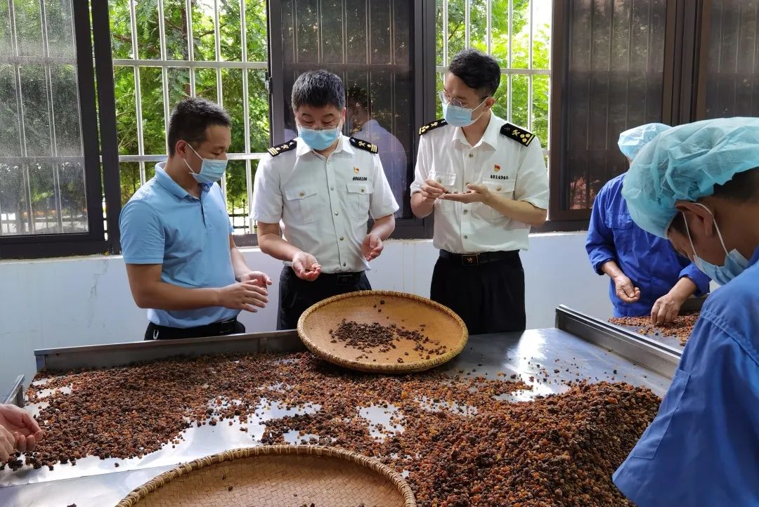 中药材出口需要办理什么手续